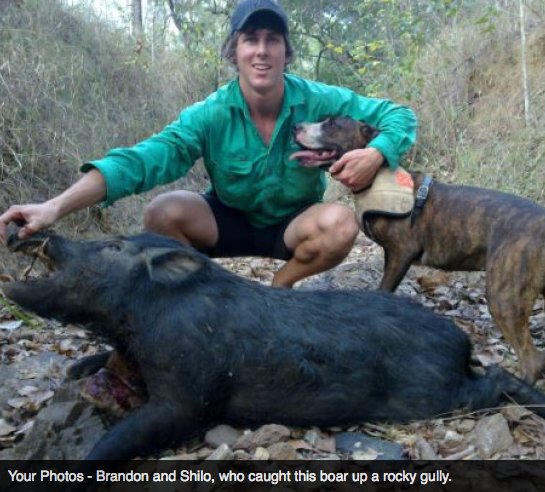 Screen Shot 2013-10-02 at 1.39.59 PM